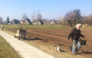 Plukbloementuin-in-aanleg-2